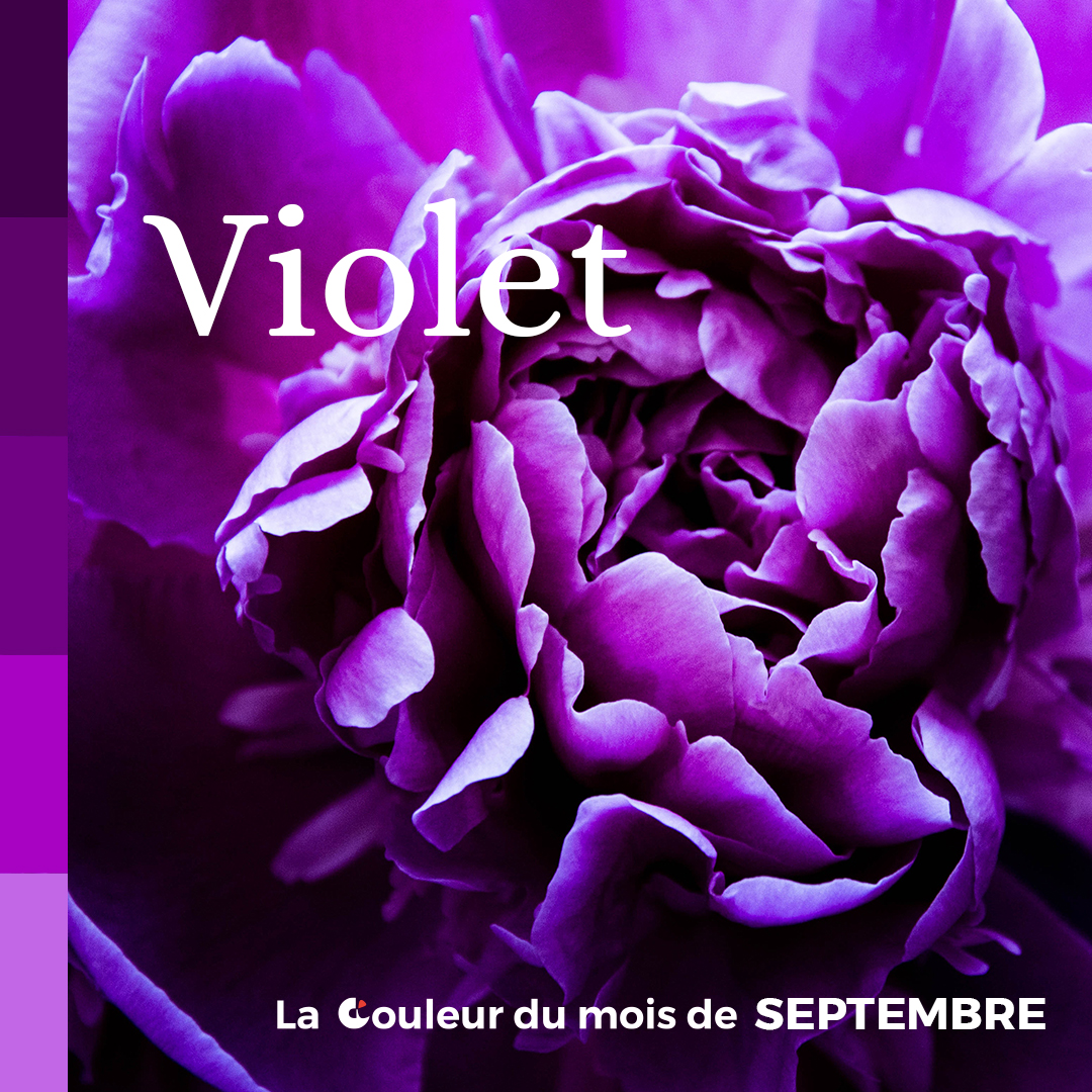 9 mois de symbolique des couleurs Julie Landais Création web et graphisme